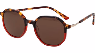 Brown Plastic Sunglasses