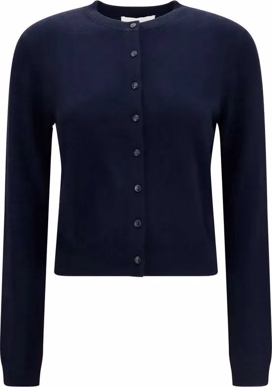 Lisa Yang Blue Cashmere Cardigan