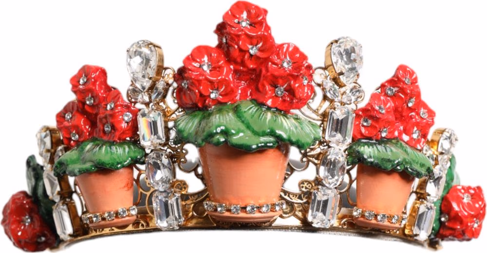 Dolce & Gabbana Red Floral Flowerpot Crystal Gold Crown Tiara Headband